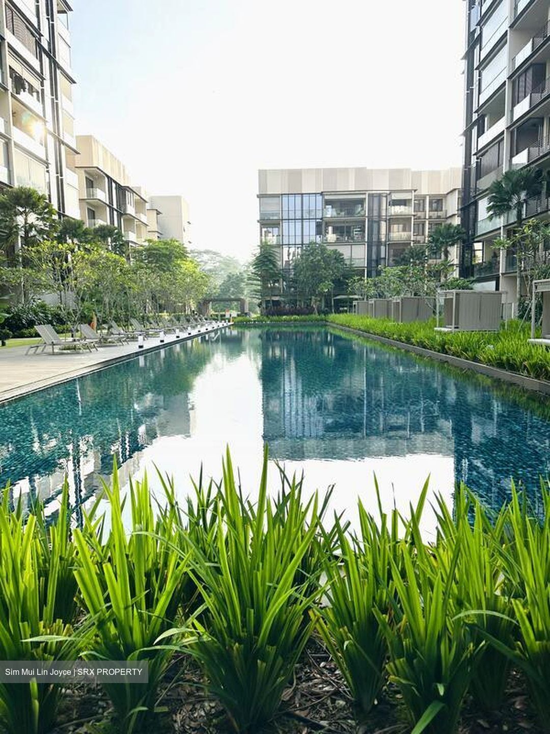 Dairy Farm Residences (D23), Apartment #626957211